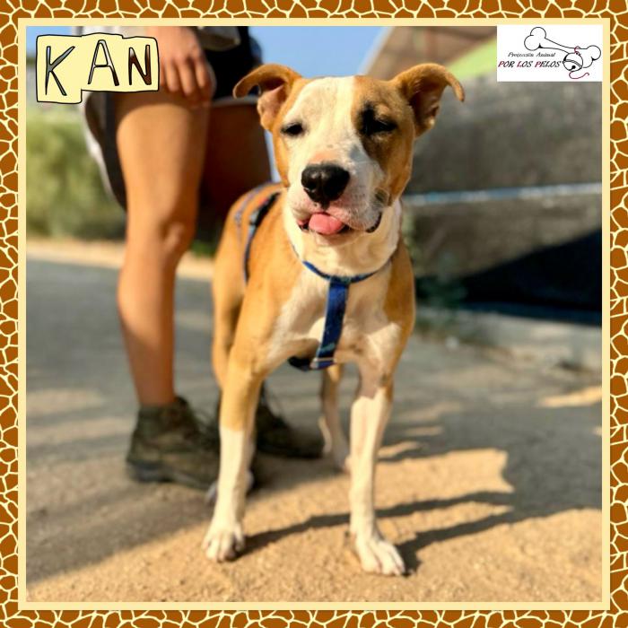 kan