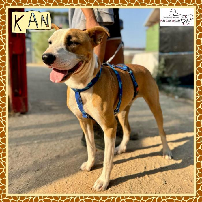 kan