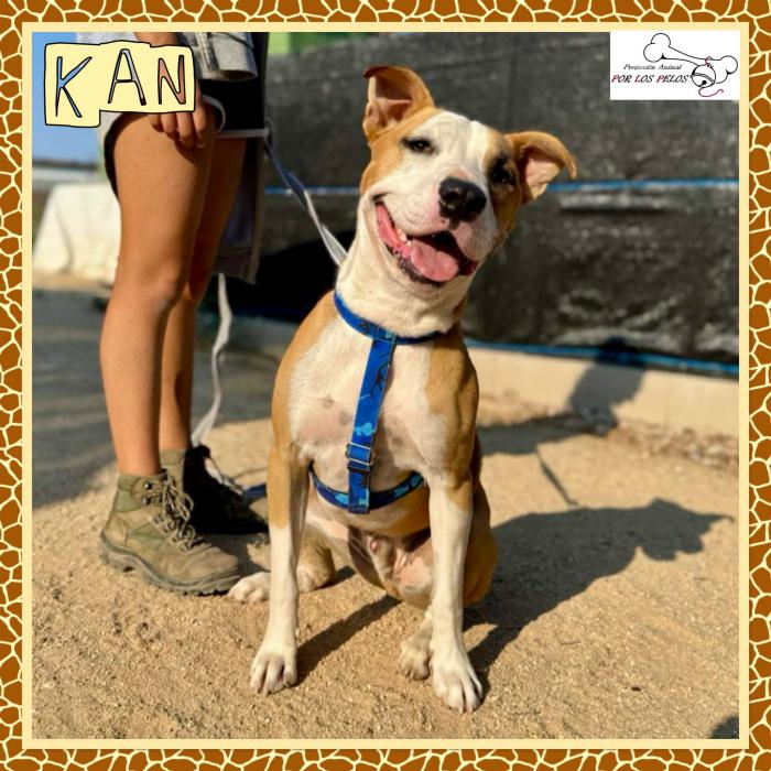 kan