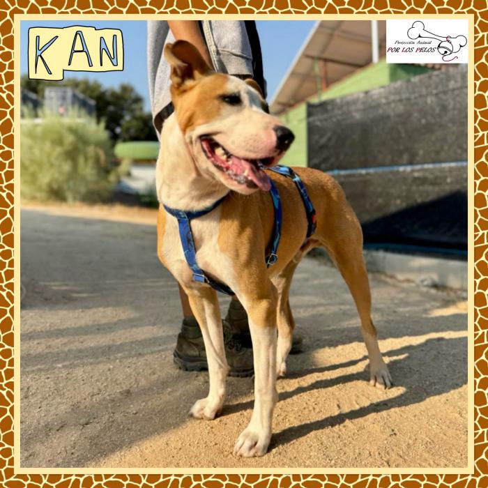 kan