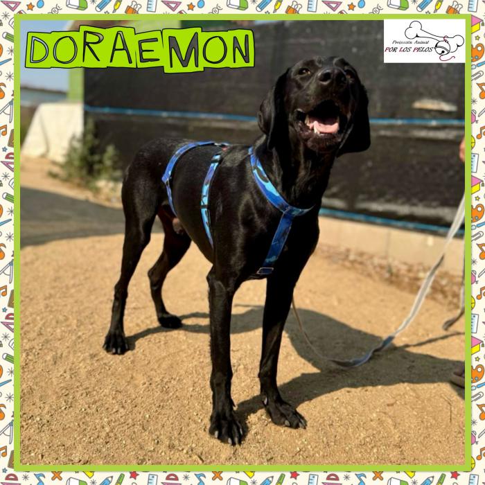 Doraemon
