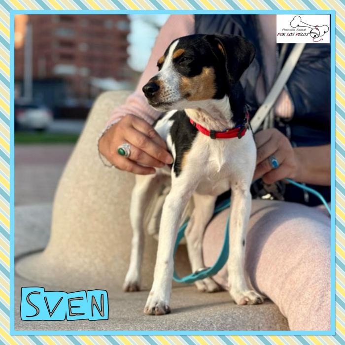 Sven