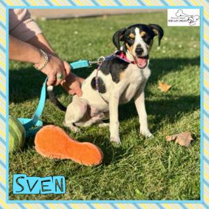 Sven