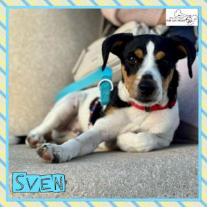 Sven