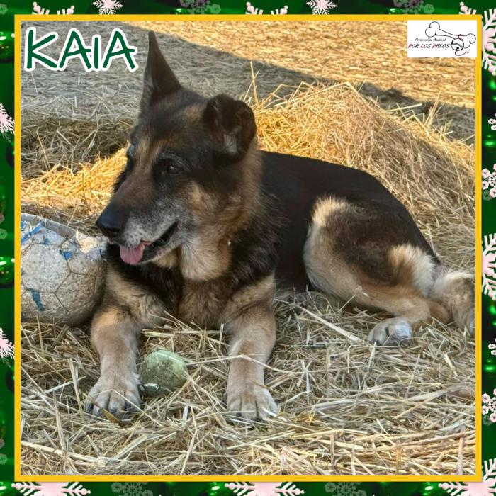 Kaia