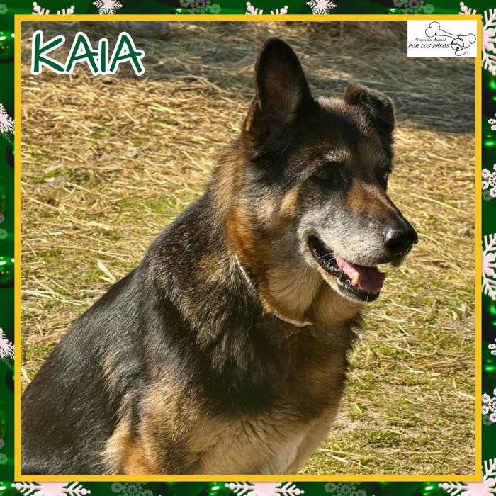 Kaia