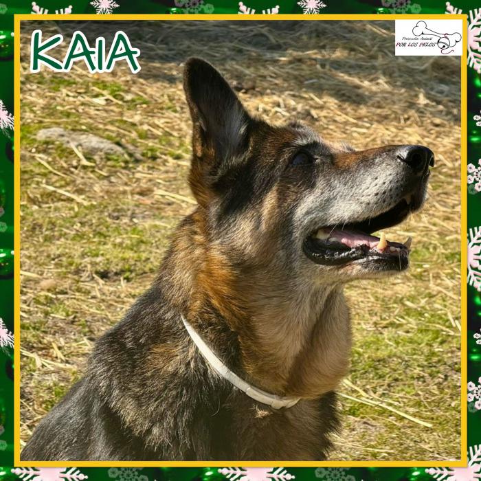 Kaia