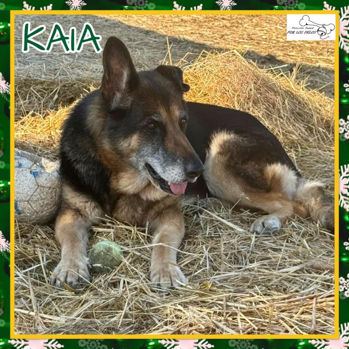 Kaia