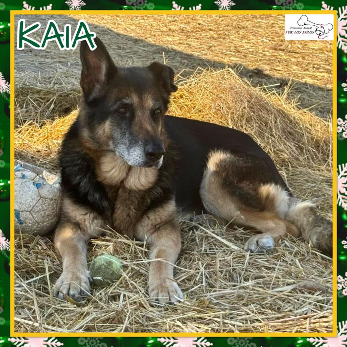 Kaia