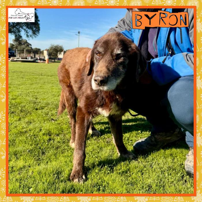 Byron