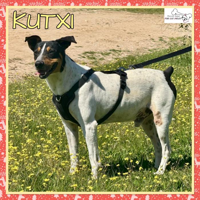 Kutxi