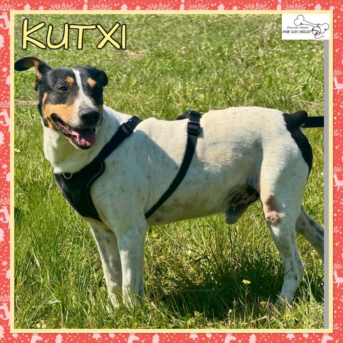Kutxi