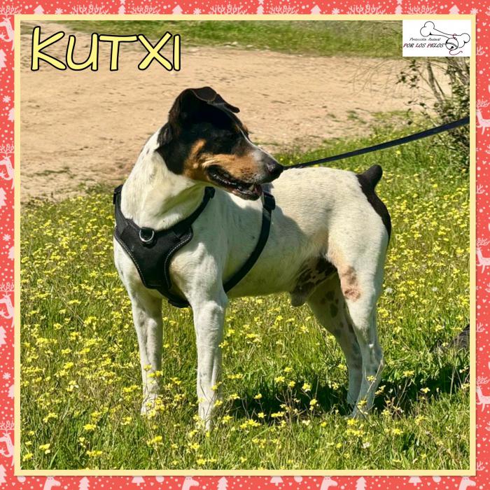 Kutxi
