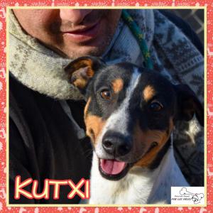 Kutxi