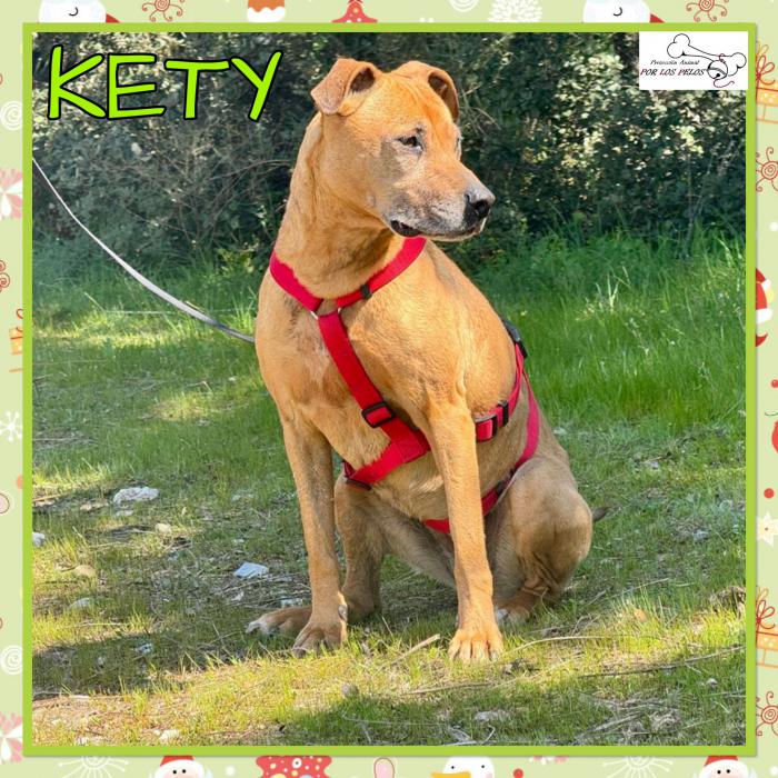 Kety