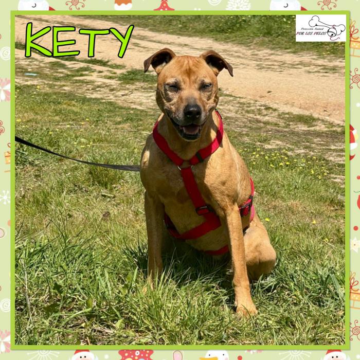 Kety