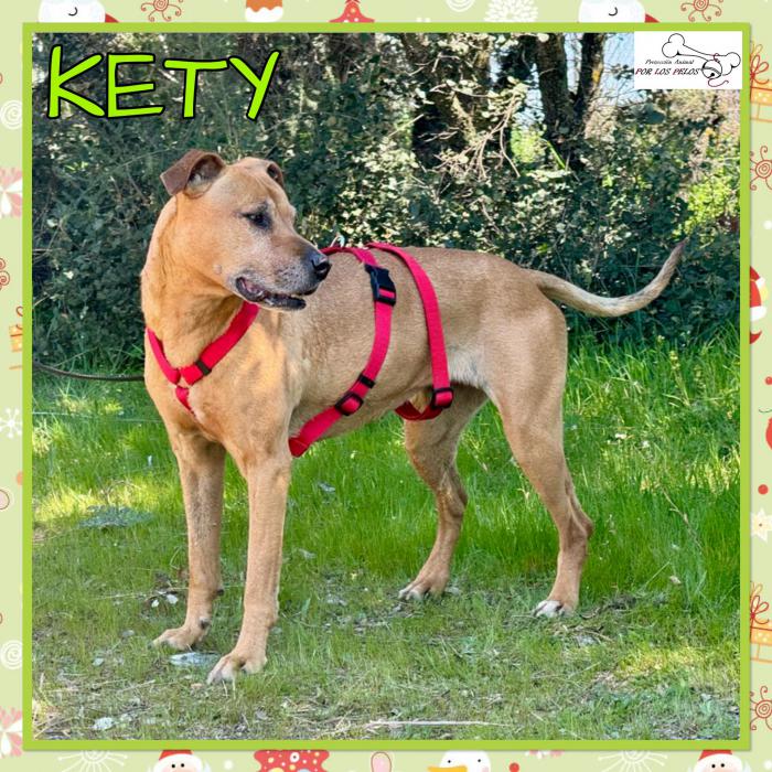 Kety