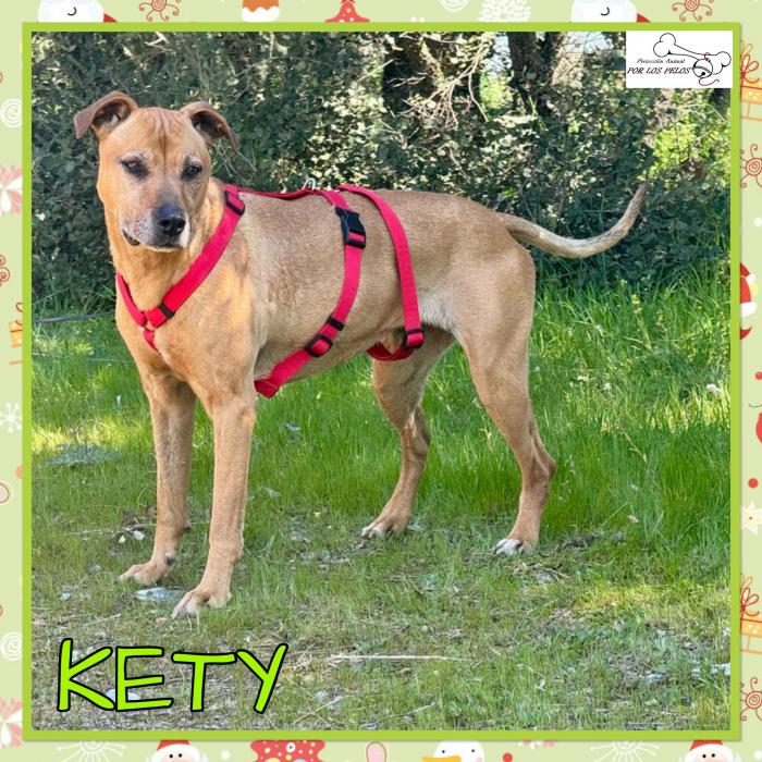 Kety