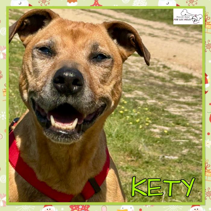 Kety