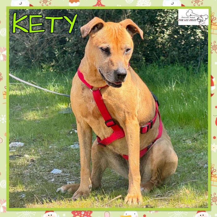 Kety