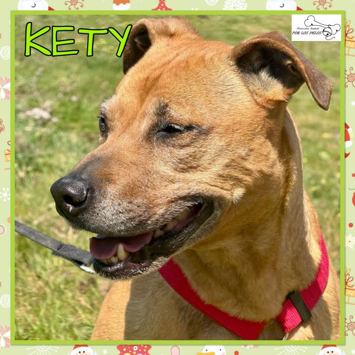 Kety