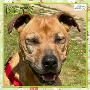 Kety