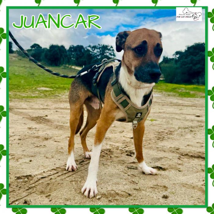 Juancar