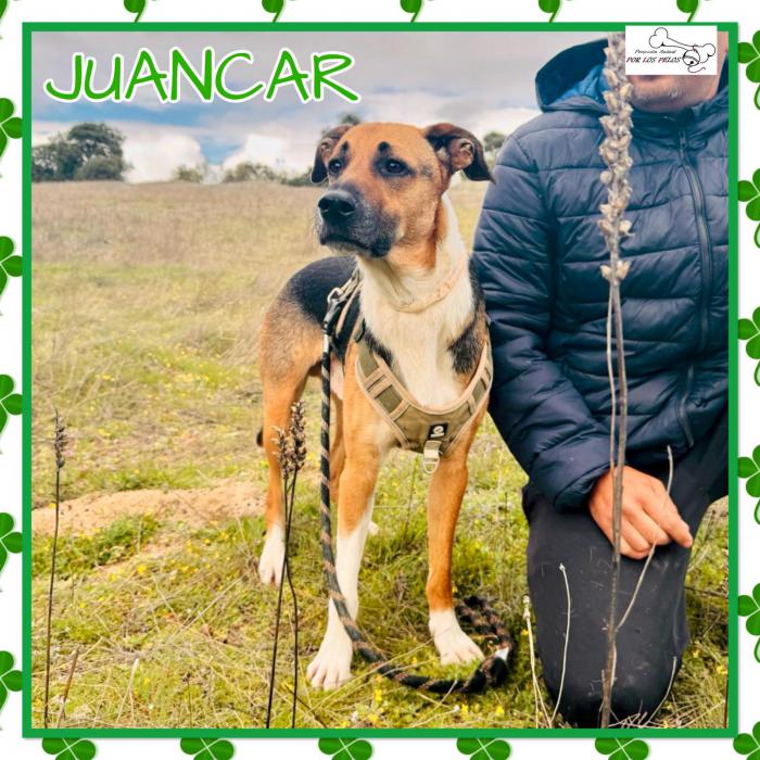 Juancar