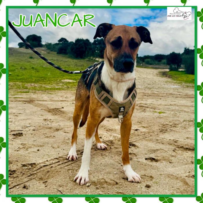 Juancar