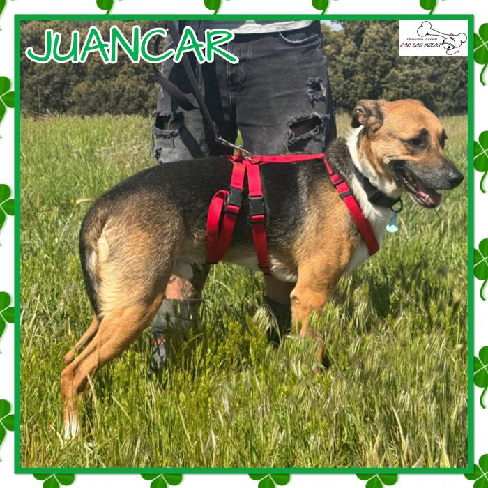 Juancar