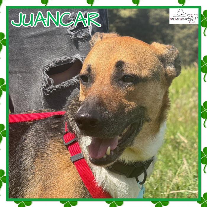 Juancar