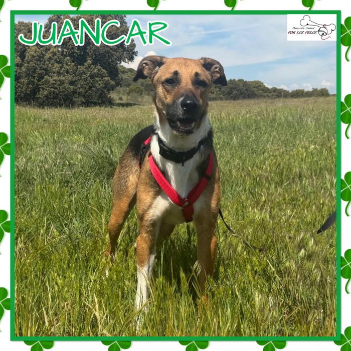 Juancar
