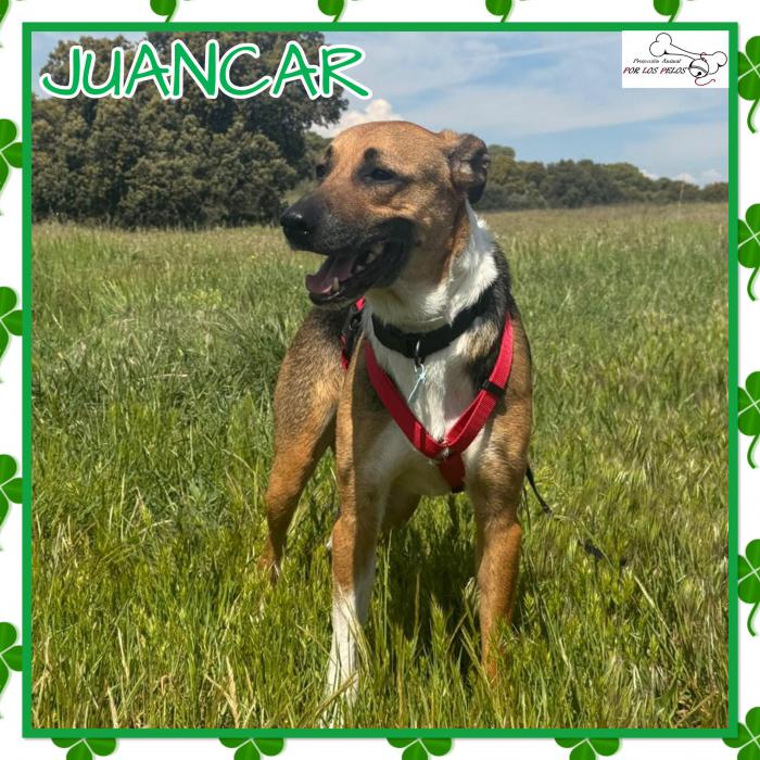 Juancar