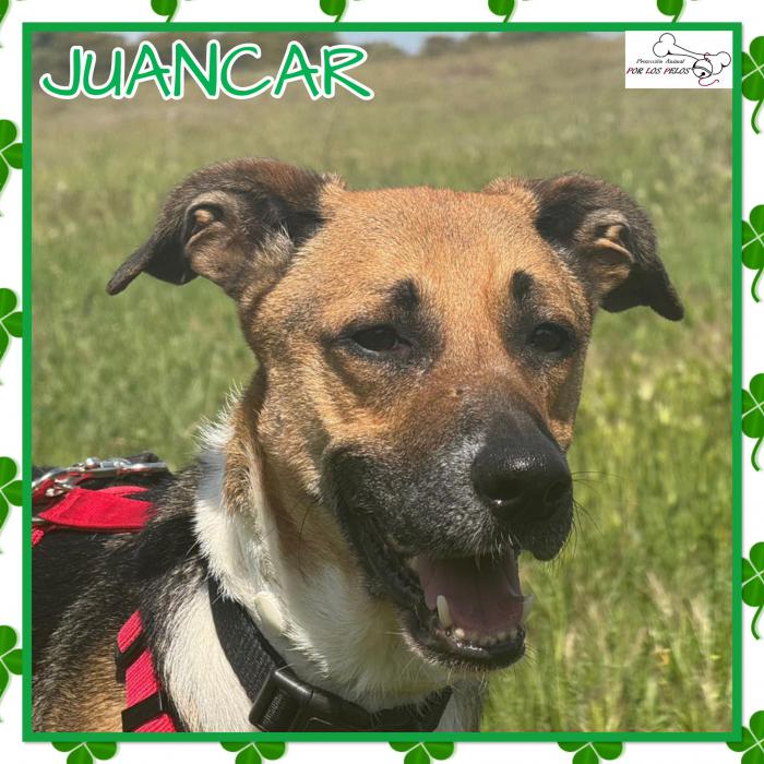 Juancar