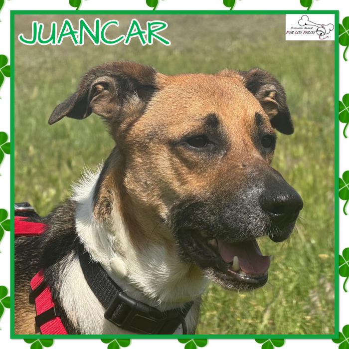 Juancar