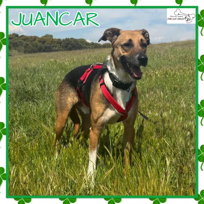 Juancar