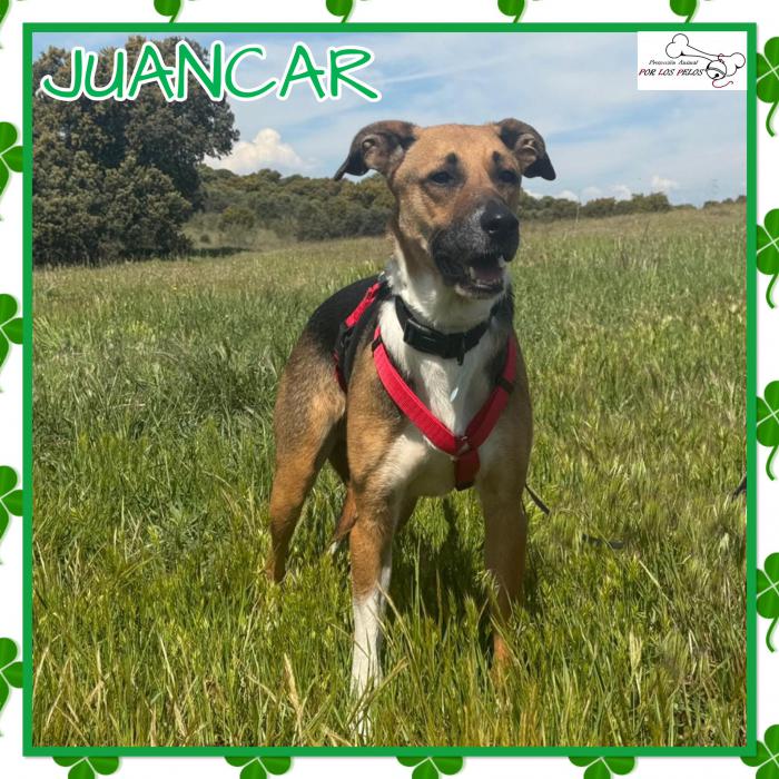 Juancar