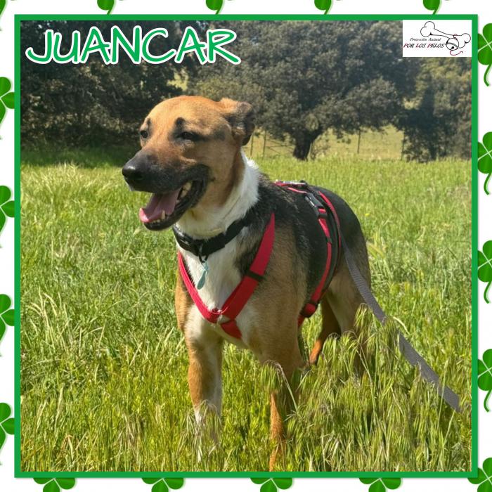 Juancar