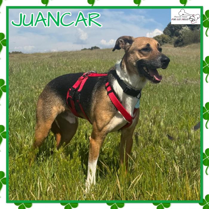 Juancar