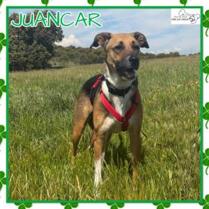 Juancar