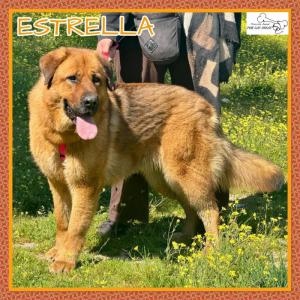 Estrella