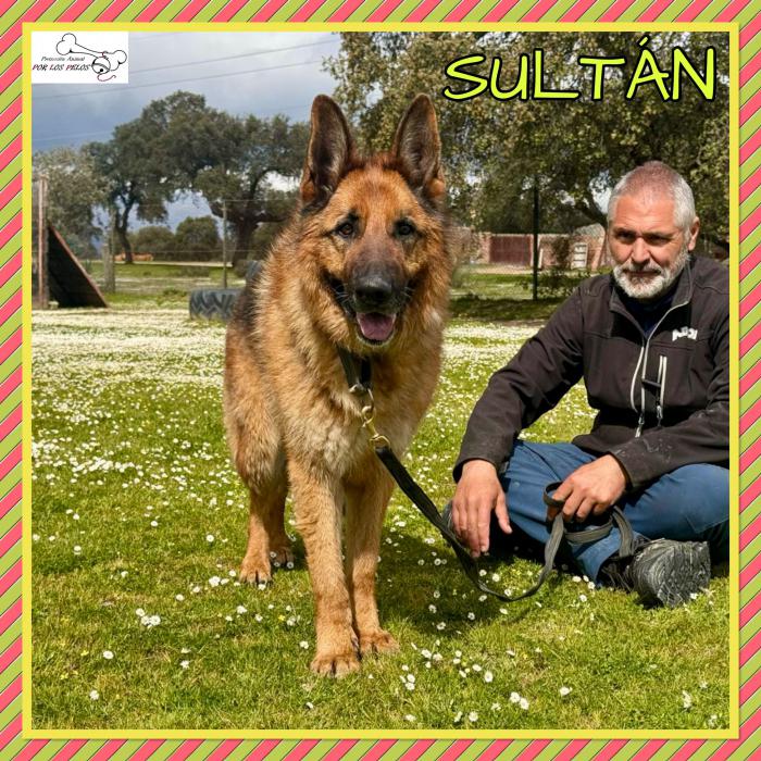 Sultan