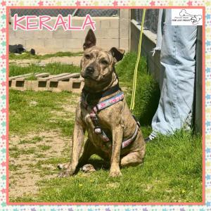Kerala