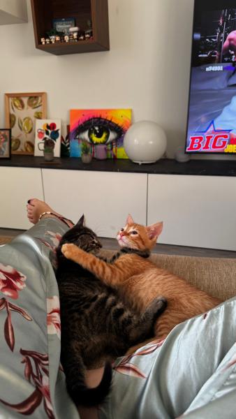Lilo