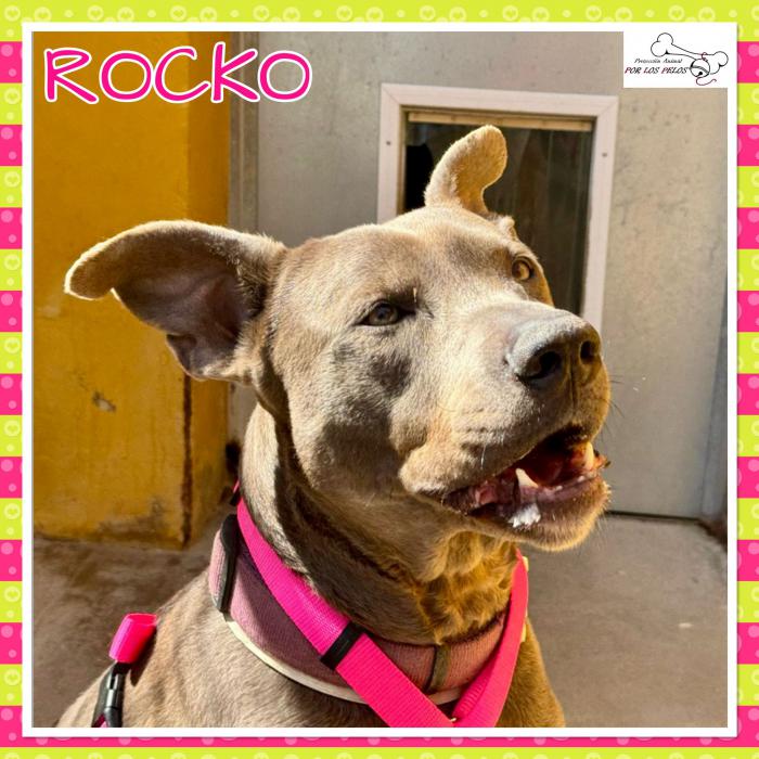Rocko
