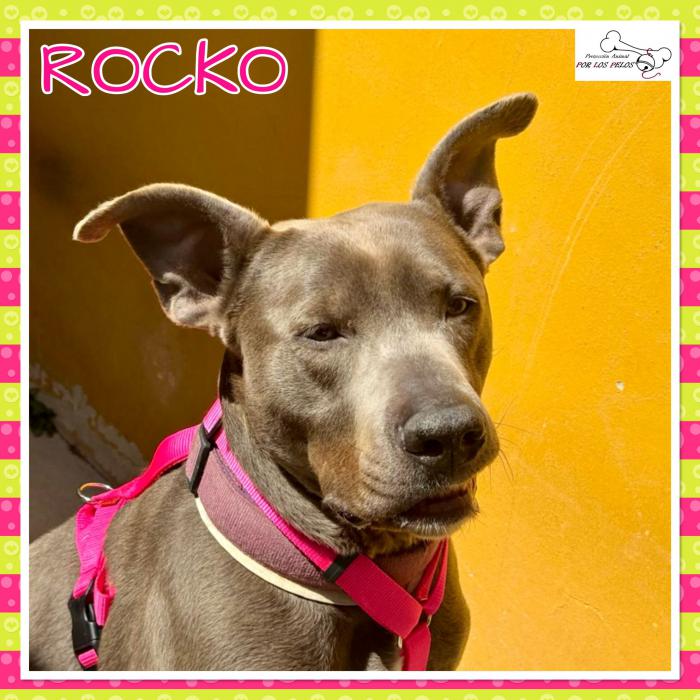 Rocko