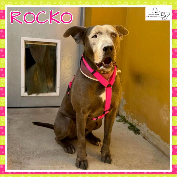 Rocko