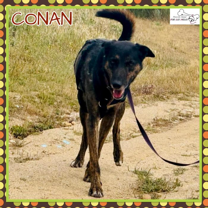 Conan