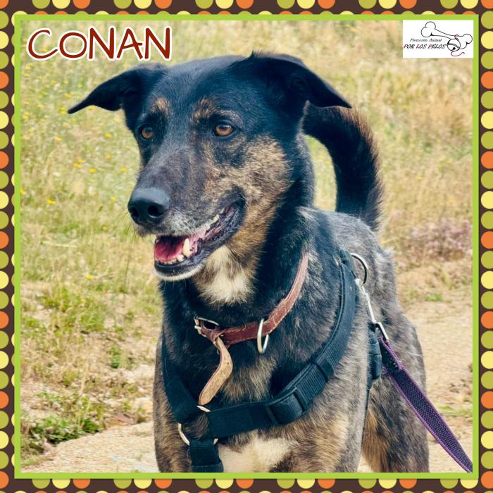 Conan