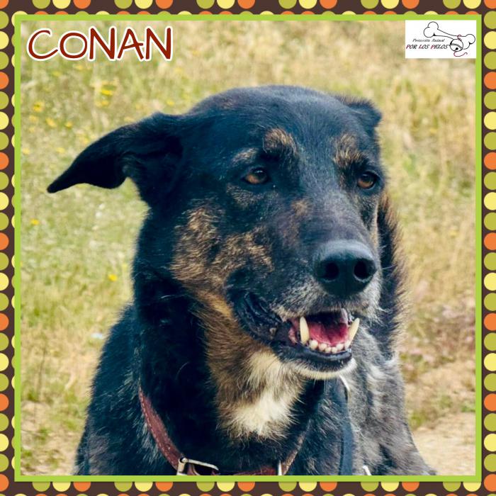 Conan